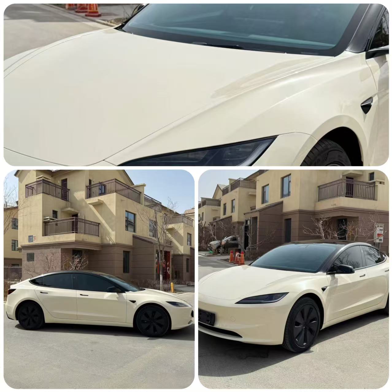 Pepper White