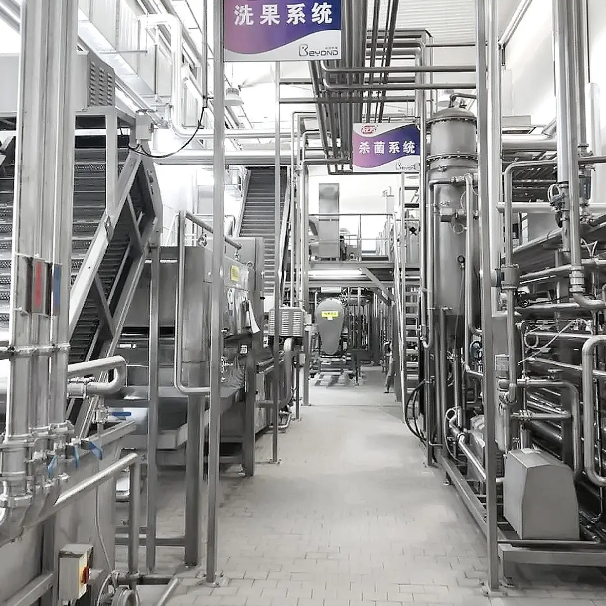플램 날짜 세척 선별 라인 과일 주스 생산 라인 대추 공장