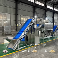 Elektrische automatische roestvrijstalen motor met zilvergrijze lagers, hoog rendement, machine voor het verwerken van fruit, groenten en knoflook.