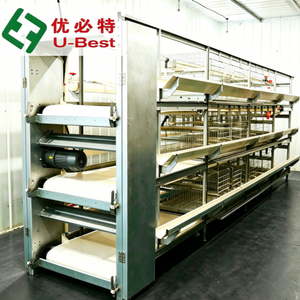 Cage <span class=keywords><strong>à</strong></span> poulets intelligente de type H U-best, automatique, pour élevage avicole, cage d'élevage pour poules pondeuses, poulailler - Product Image 1