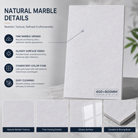 Carrelage en porcelaine effet marbre gris clair brillant 400x800mm pour murs et sols, vente en gros OEM pour projets
