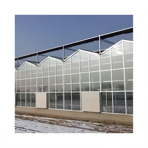 <span class=keywords><strong>Serre</strong></span> en <span class=keywords><strong>verre</strong></span> de type Venlo Skyplant, grande <span class=keywords><strong>serre</strong></span> agricole en <span class=keywords><strong>verre</strong></span>, utilisée pour la reproduction de semences/l'exposition/le restaurant éco-responsable - Product Image 2