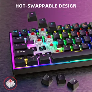 68 tuşları sıcak değiştirilebilir şeffaf oyun klavyesi RGB arkadan aydınlatmalı Outemu Gateron kiraz ekseni kırmızı anahtarı kablosuz mekanik klavye