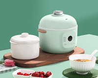 Baru panci rebus listrik tidak langsung panas Nutricook pintar memasak kecil 0,8l 800ml Steamer panci masak lambat elektrik