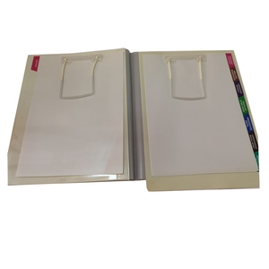 Medical File With U Clip Fastener,PVC Medical File With <strong>Divided</strong> <strong>Folder</strong> - Product Image 2