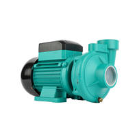 Pompe à eau centrifuge électrique agricole domestique, machine de pompage d'eau haute performance pour l'alimentation quotidienne en eau