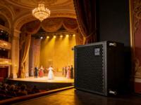 Enceinte Line Array AUDIOPEAK GT-10 1200W (Bois Portable) 58Hz-20KHz pour Événements Extérieurs et Intérieurs