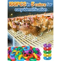 Bagues de pattes de poulet réglables de 17-23 mm, colorées et numérotées, pour l'identification des volailles, des canards, des oies, des dindes et des petits oiseaux