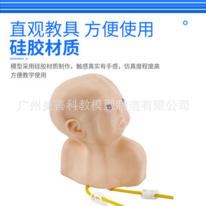 Modèle d'entraînement à l'injection intraveineuse cutanée pour nourrissons ; modèle d'entraînement à la ponction veineuse cutanée ; modèle d'injection intraveineuse pédiatrique sur tête d'enfant - Product Image 2