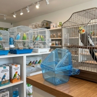 Mangeoire à oiseaux extractible à fixer sur cage, anti-éclaboussures, en plastique, pour perroquet, canari, pinson, sans désordre, boîte d'alimentation pour oiseaux