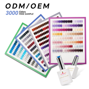 Set de Esmalte de Uñas en Gel Neissry, Caja de Esmalte en Gel, Color Base, Esmalte de Uñas en Gel Brillante Reflectante para Salón Profesional, Venta al por Mayor - Product Image 3