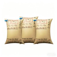 Sac gonflable de calage en papier kraft réutilisable sur mesure OEM, 2 psi, pour la protection des espaces vides des conteneurs maritimes