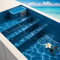 Piscine modulaire tout-en-un de 9,2 m, piscine préfabriquée avec terrasse intégrée finition pierre et pompe à contre-courant haute performance