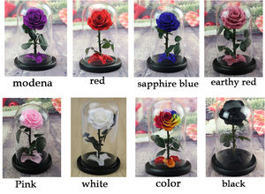 Natural China Factory The cute Hot Selling Long Stem Preserved Roses Rosa Bella y <span class=keywords><strong>La</strong></span> <span class=keywords><strong>Bestia</strong></span> - Product Image 6