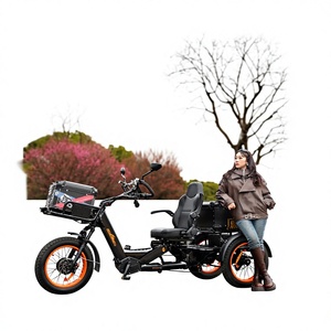 Tricycle électrique SOBOWO Destroyer pour les voyages en famille en plein air, vélo électrique à 3 roues avec panier de transport, tricycle de loisirs pour adultes - Product Image 1