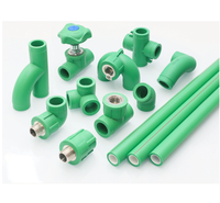 Plastiques Matériaux de plomberie Vente chaude Allemagne Ppr Tuyau et raccord Tuyaux en plastique standard Din de haute qualité Dn25
