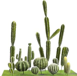 さまざまな製品で使用するための多用途のサンペドロサボテン Alibaba Com