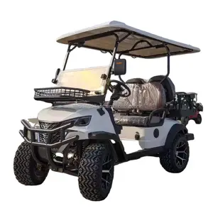 Carrito de golf de gran espacio para 2, 4, 6, 8 y 10 personas, carrito de golf eléctrico personalizado de 48/72v con suspensión independiente