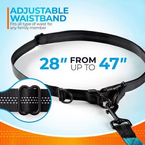 Correas elásticas para mascotas con manos libres, tira reflectante, cinturón de cintura ajustable, correa retráctil de cuerda elástica transpirable, deporte adecuado - Product Image 2