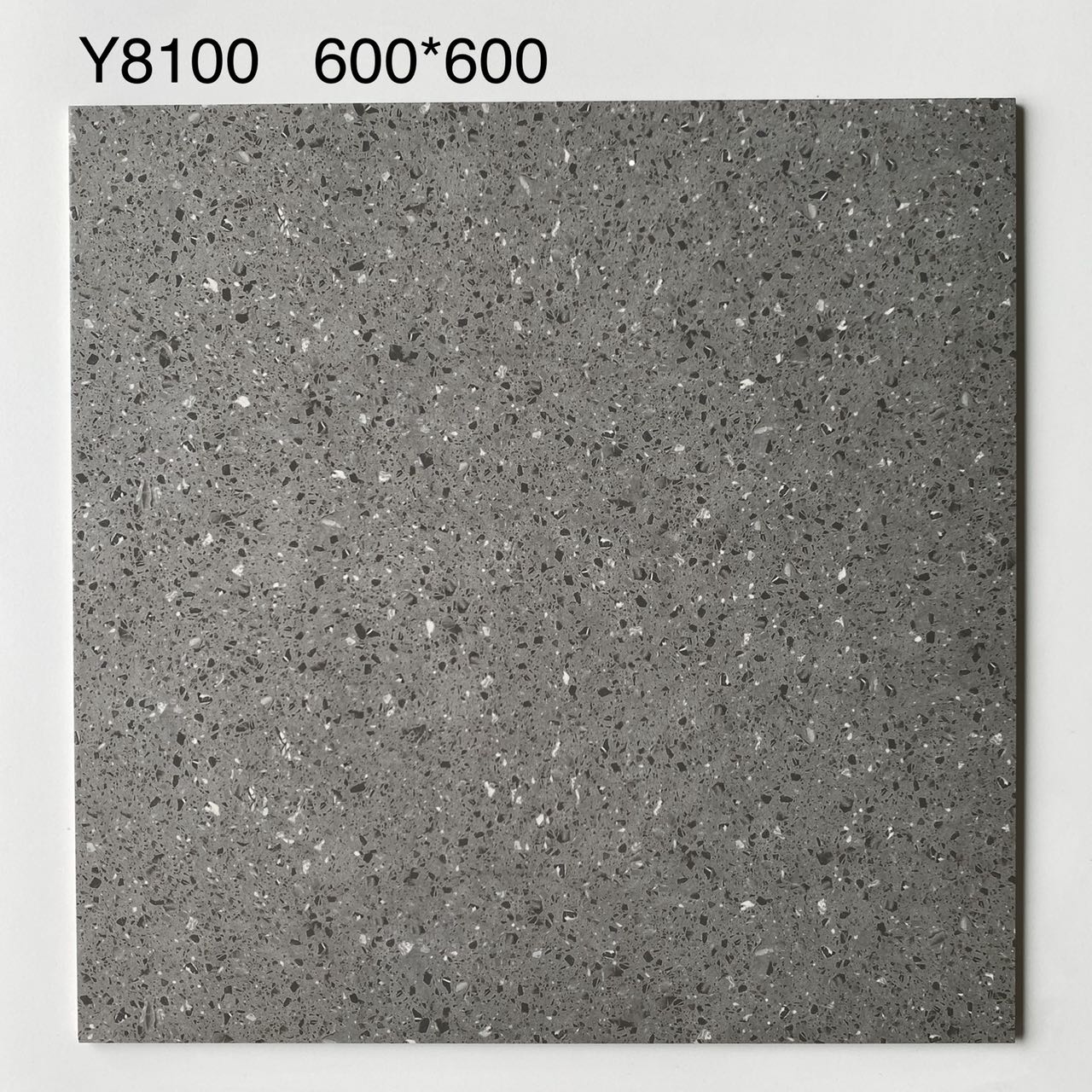 Y8100