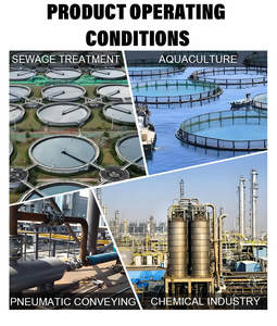 High Pressure Three Lobe Roots Blower for Aquaculture Fish <b>Pond</b> Oxygenation 7.5KW Low Noise Aerator <b>Vacuum</b> Aeration Roots Blower - Product Image 3