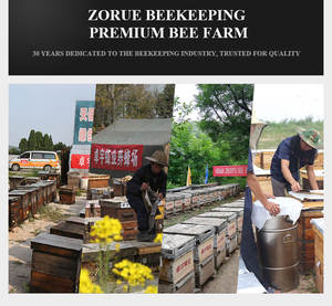 Nouveau kit de ruche Langstroth à 2 niveaux Zorue ZY-BH002, cadres en bois de sapin de Chine de qualité supérieure avec revêtement en <span class=keywords><strong>cire</strong></span>, <span class=keywords><strong>plaque</strong></span> en fer, logo personnalisé, équipement - Product Image 6