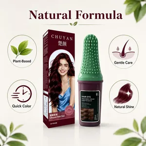 Tinte para el Cabello Personalizado OEM ODM, Crema Nutritiva a Base de Plantas, 200 ml, Color Borgoña, Botella con Peine, Marca Privada, Gran Venta - Product Image 1