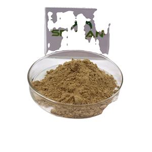 สารสกัดจากดอกกุหลาบ10:1สารสกัดจากดอกกุหลาบ - Product Image 1