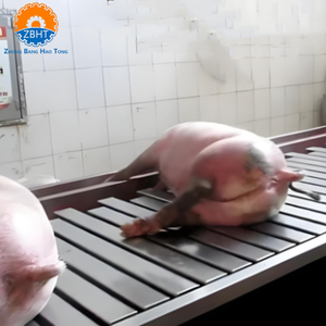 Attrezzatura Completa per la Macellazione di Suini per Mattatoi, Macchinari ad Alta Capacità per la Lavorazione della Carne Suina con Motore e Cuscinetti, Design Personalizzabile - Product Image 6