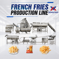 Ligne de production de frites surgelées à haute productivité 3T/H, fonctionnement stable, machinerie professionnelle de transformation des pommes de terre, certifiée CE