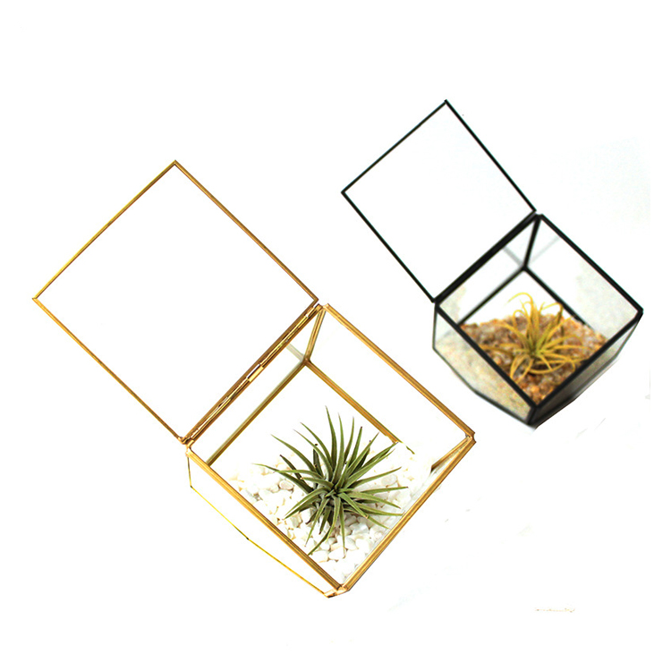 Прозрачный стеклянный геометрический Террариум ручной работы, Скандинавская ваза для воздушных растений, Террариум с железной формой, оптовая продажа