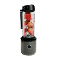 Personnalisé Oem Odm Fruits Légumes Électrique 6 Lames Mini Portable Rechargeable Tasse À Main Lente Presse-agrumes Extracteur Machine Mélangeur