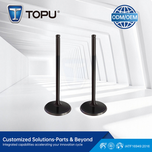 Werkseitig heißer Verkauf Hochleistungs-Motor ventil IS7Z-6507-AA für FORD FOCUS 2.0-16V DURATEC FORD ECO SPORT,MONDEO 2.0L ALUM - Product Image 4