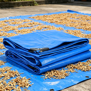 Bâche imperméable en PE pour jardin, extérieur, camion, bateau, niche pour <span class=keywords><strong>chien</strong></span>, <span class=keywords><strong>voiture</strong></span> - Product Image 3
