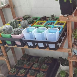 Gran oferta, macetas de plástico transparente grandes y altas, <span class=keywords><strong>maceta</strong></span> cuadrada para bonsái, planta suculenta, <span class=keywords><strong>maceta</strong></span> de flores de orquídeas, Kit para decoración de jardín y hogar - Product Image 5