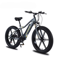 Bafang-bicicleta eléctrica para adultos, kit de neumáticos anchos de 250w, 2000w, 1000w y 5000w, con motor, neumáticos anchos de 2000w