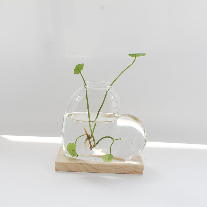 Fondo del tronco trasparente