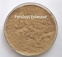Enzyme Feruloyl Esterase en vrac en fût de 25 kg pour usage commercial