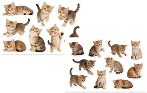 Paquete <span class=keywords><strong>de</strong></span> 4 Pegatinas <span class=keywords><strong>de</strong></span> Papel con Gatitos Realistas y Adorables, Calcomanías Decorativas <span class=keywords><strong>de</strong></span> Gatos para Álbumes <span class=keywords><strong>de</strong></span> Recortes, Diarios, Planificadores, Manualidades y Papelería - Product Image 6