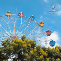 Fournisseur de projets clés en main pour parcs d'attractions en plein air, grande roue d'observation de 30 m, construction en acier, éclairage LED RVB, haute qualité