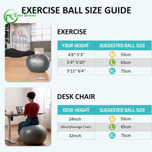 Zhensheng precio de fábrica logotipo personalizado Anti-Burst alta calidad PVC Yoga Ball Fitness ejercicio silla gimnasio globo para uso doméstico - Product Image 6