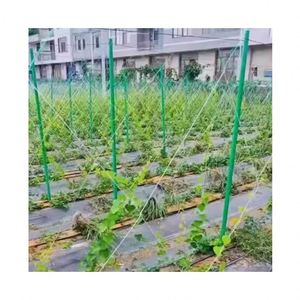 Poteau de support de plantation en extérieur agricole en tube de fibre de verre personnalisé - Product Image 1