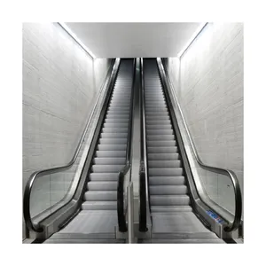 Ascenseur chinois Escalator intérieur mobile marche fournisseur ascenseur Escalator Prix