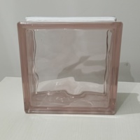 Briques de verre décoratives résistantes au feu et durables pour salon, salle de bain, usage extérieur - Rose