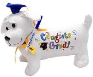 Animales de peluche para graduación, regalos creativos para niños, 2022 - Product Image 4