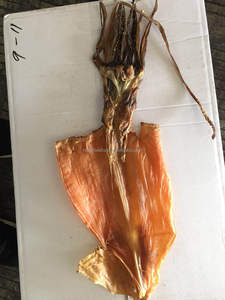 Meilleure vente de peau de fruits de mer séchés sur ou sans peau Squid équateur séché - Product Image 5