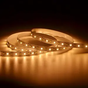 RGB LED Strip Light DC12V/24V Luzes LED Led flexível Faixa de Luz Usado para Quarto Decorativo Alto Brilho Neon Led