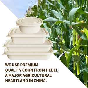 Набор компостируемых контейнеров для еды из кукурузного крахмала напрямую от производителя, с индивидуальным дизайном, герметичный, для микроволновой печи (FDA/LFGB), емкость 600 мл, высокое качество - Product Image 2