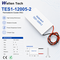 Module thermoélectrique TES1-12005 40x20x4.0 mm 42 W pour le refroidissement de la tête laser