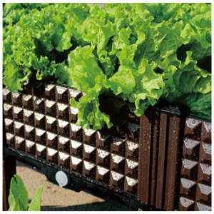 Kits de Propagation Modernes Carrés en Plastique pour Jardinières de Sol, Pots de Légumes et Mobilier de Jardin – Vente en Gros pour Fournisseurs de Jardin - Product Image 6